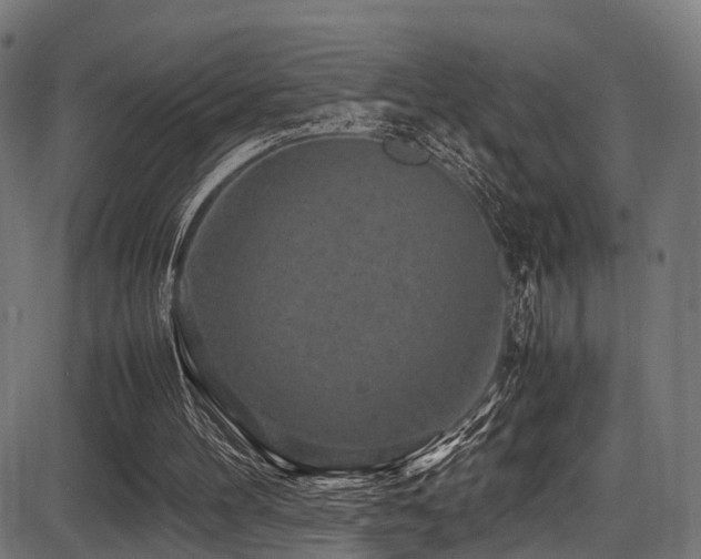 X0000087640100200705031520