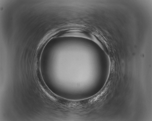 X0000087640101200705031520