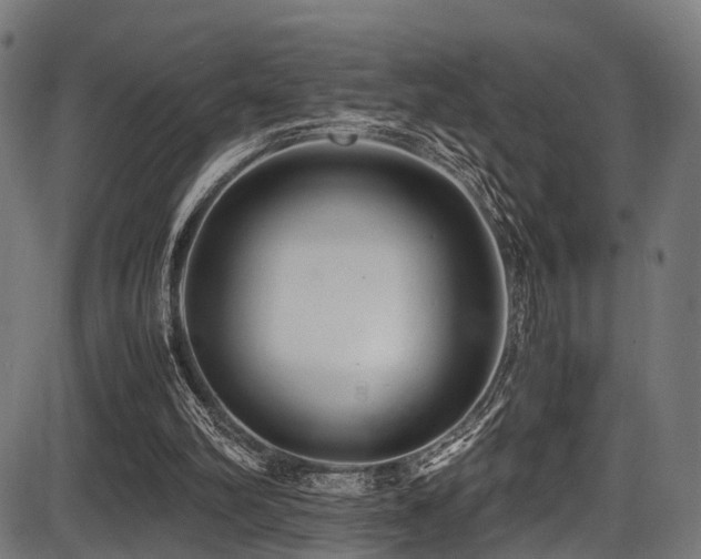 X0000087640102200705031520