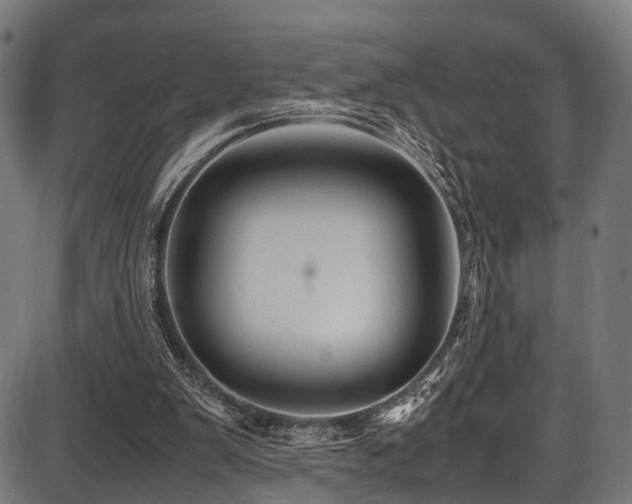 X0000087640103200705031520