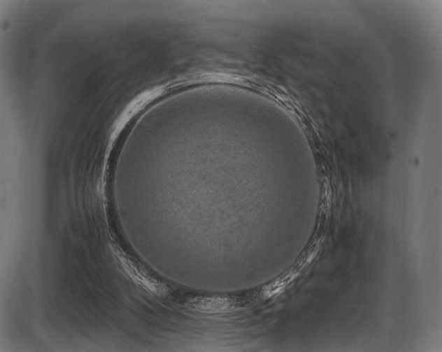 X0000087640104200705031520