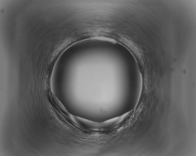 X0000087640105200705031520