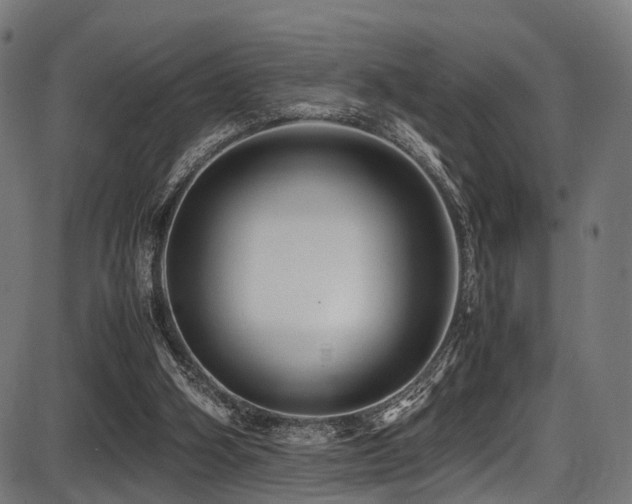 X0000087640106200705031520