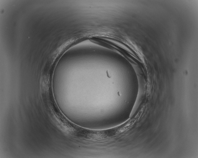 X0000087640107200705031520