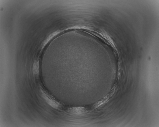 X0000087640108200705031520