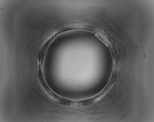 X0000087640109200705031520