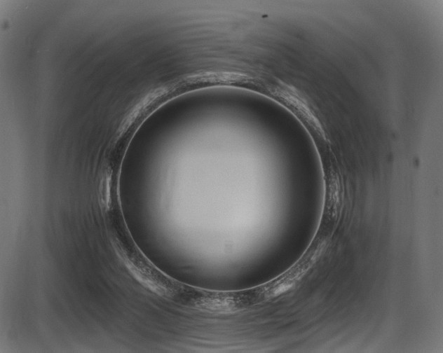 X0000087640110200705031520