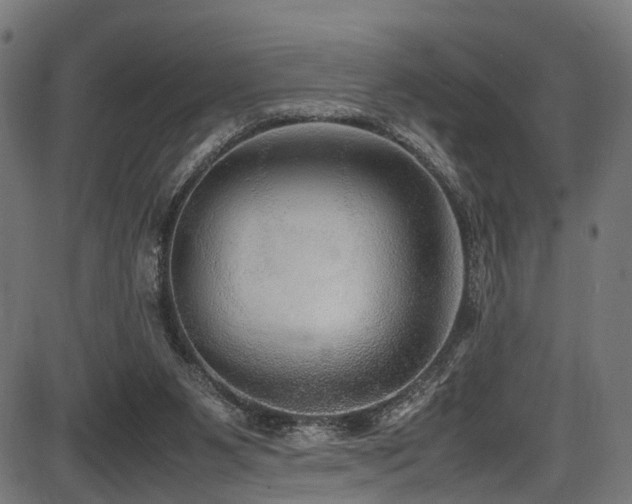 X0000087640111200705031520