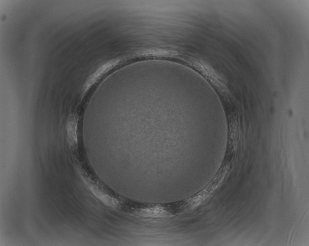 X0000087640112200705031520