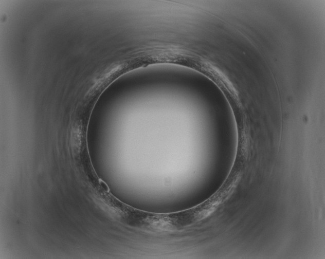 X0000087640113200705031520