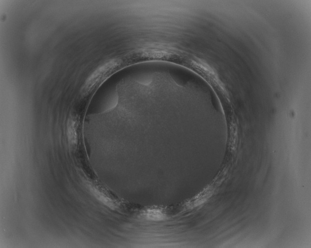 X0000087640114200705031520