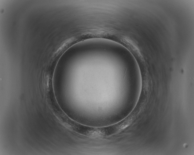 X0000087640115200705031520