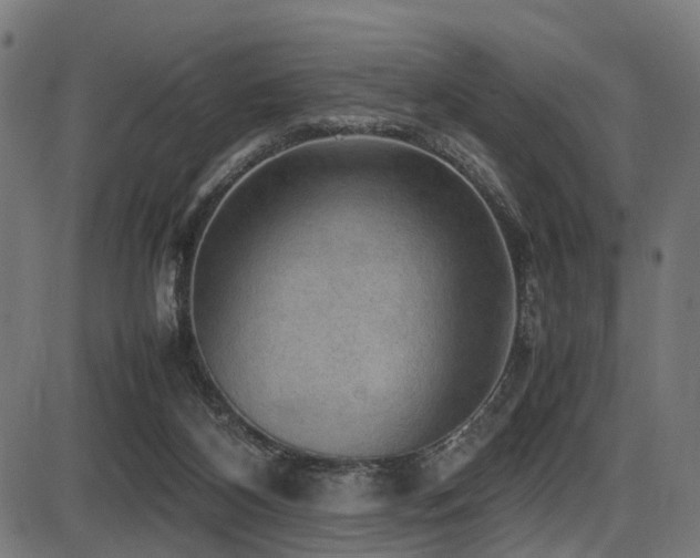 X0000087640116200705031520