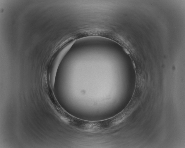 X0000087640117200705031520