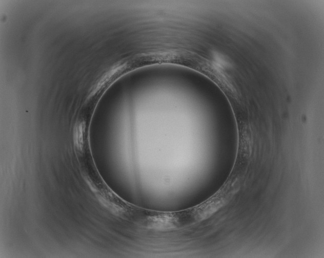 X0000087640118200705031520