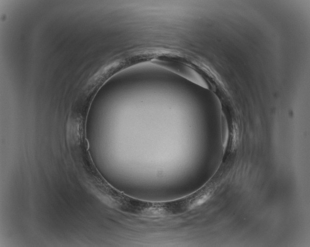 X0000087640119200705031520