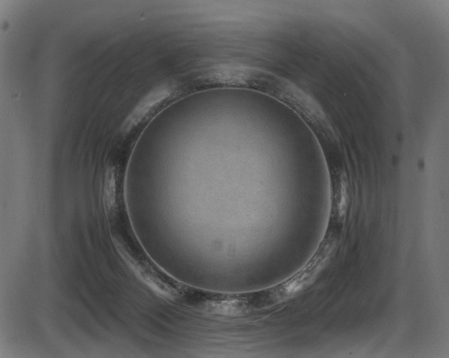 X0000087640120200705031520