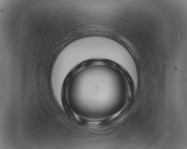 X0000087640121200705031520