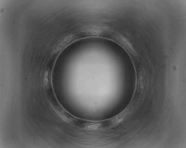 X0000087640122200705031520