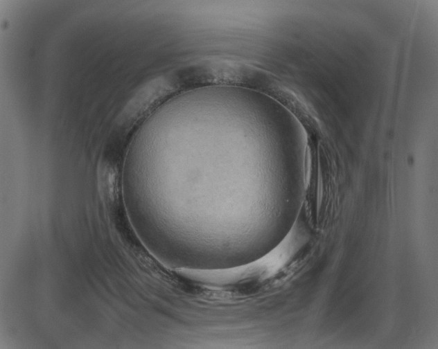 X0000087640123200705031520