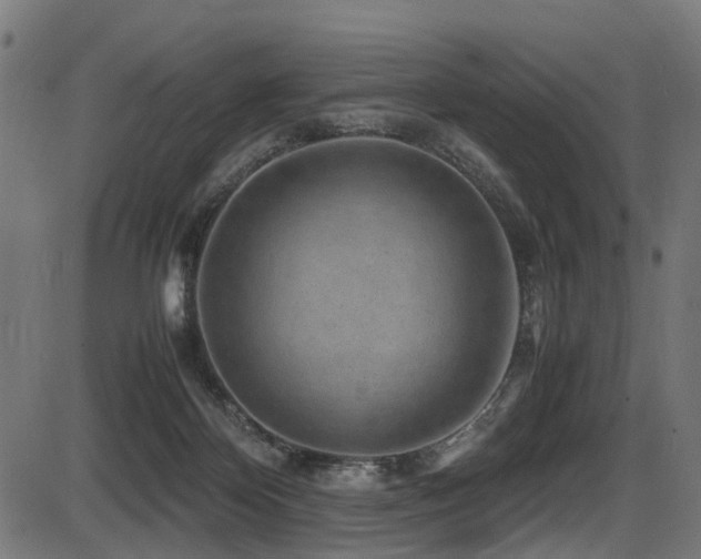 X0000087640124200705031520