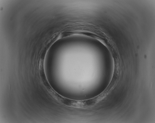 X0000087640125200705031520