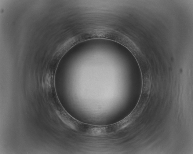 X0000087640126200705031520