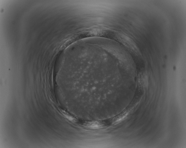 X0000087640127200705031520