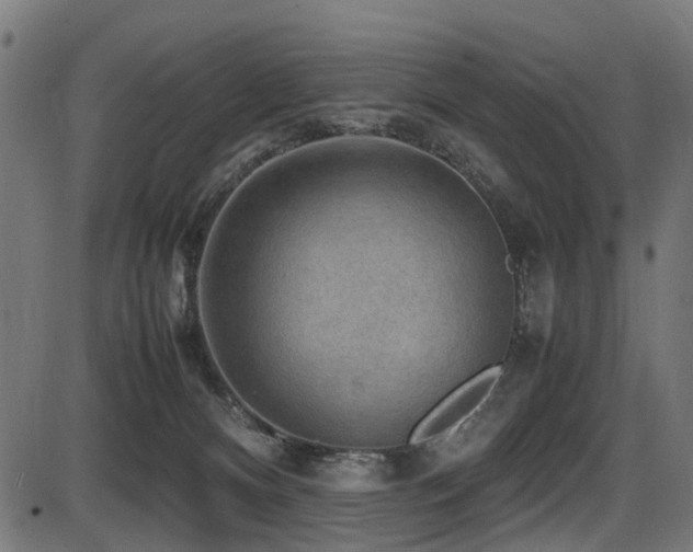 X0000087640128200705031520