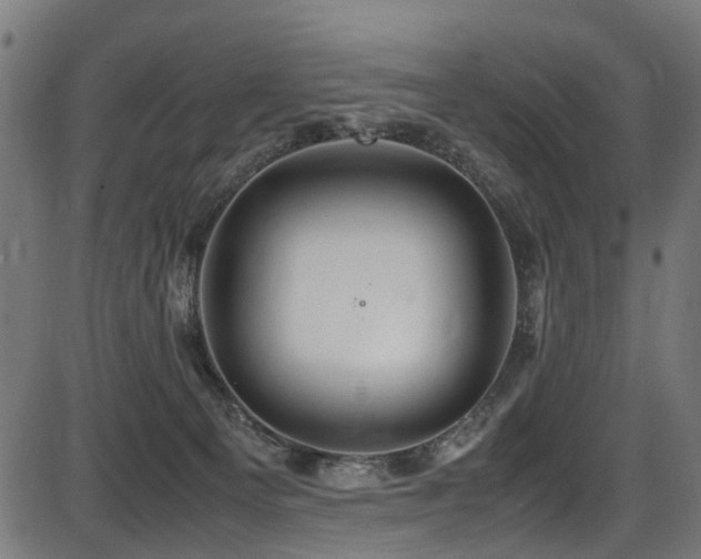 X0000087640129200705031520