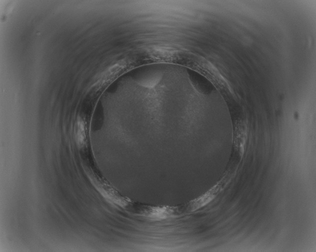 X0000087640130200705031520