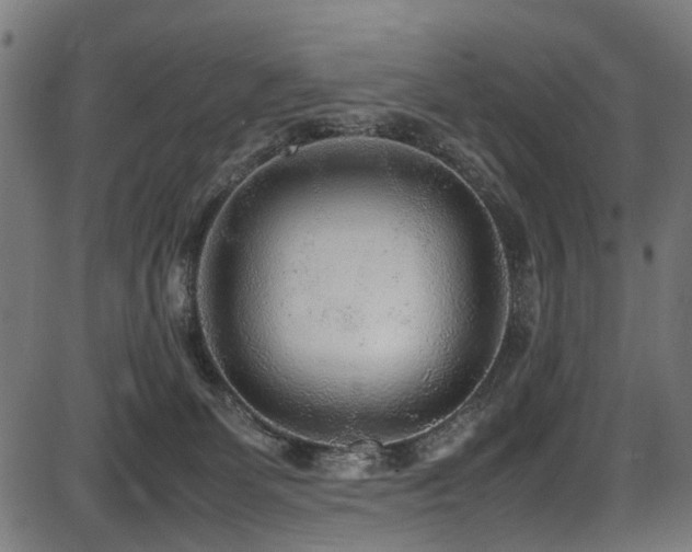 X0000087640131200705031520