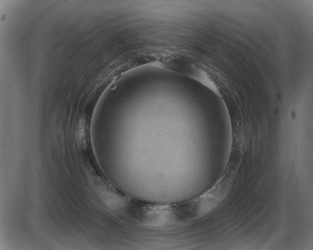 X0000087640132200705031520