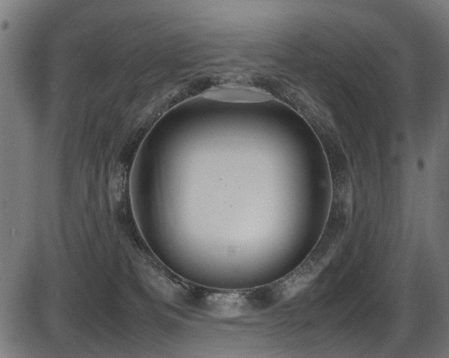 X0000087640133200705031520