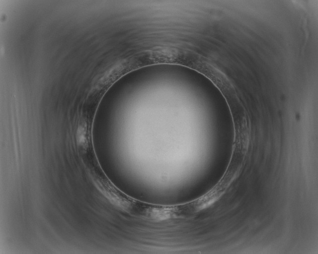 X0000087640134200705031520