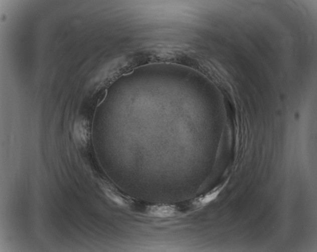 X0000087640135200705031520