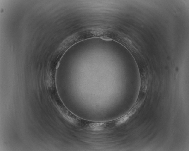 X0000087640136200705031520