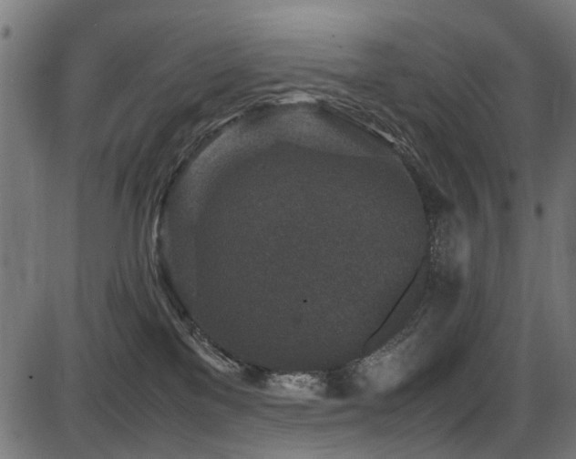 X0000087640137200705031520