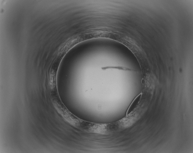 X0000087640138200705031520