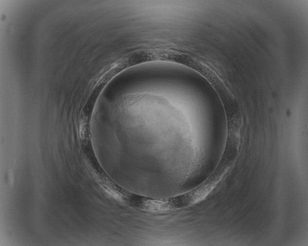 X0000087640139200705031520