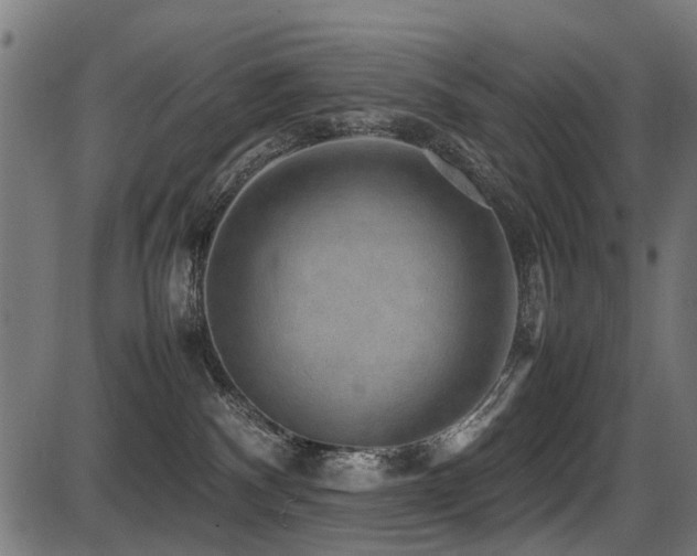 X0000087640140200705031520