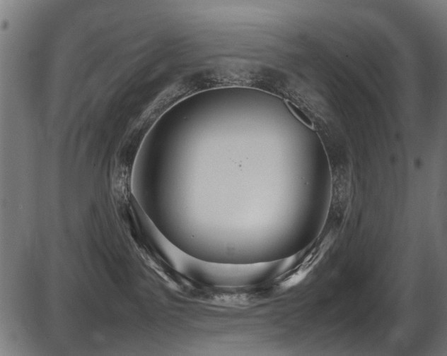 X0000087640141200705031520