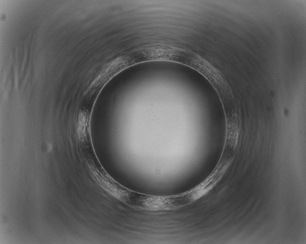 X0000087640142200705031520