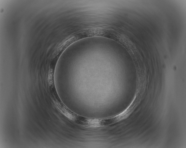 X0000087640144200705031520