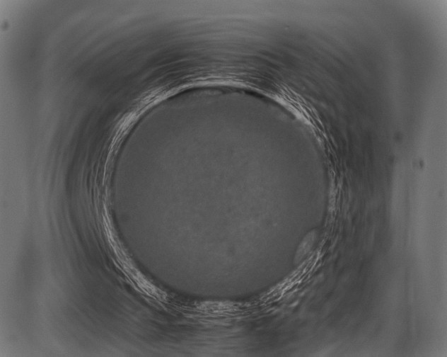 X0000087640145200705031519