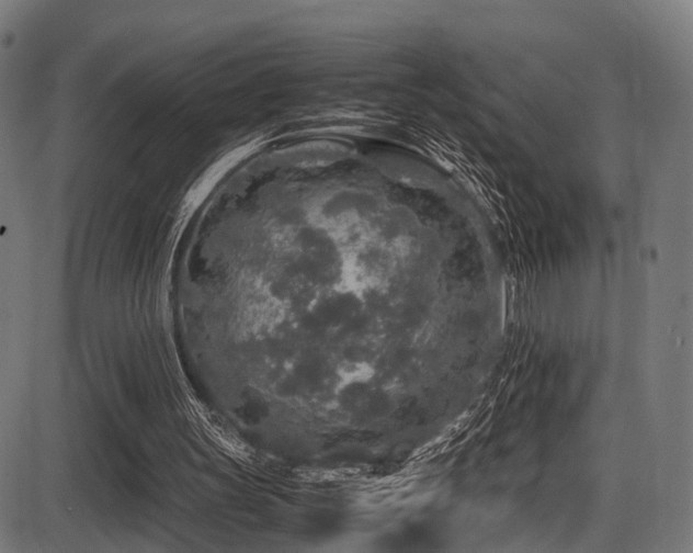 X0000087640147200705031519