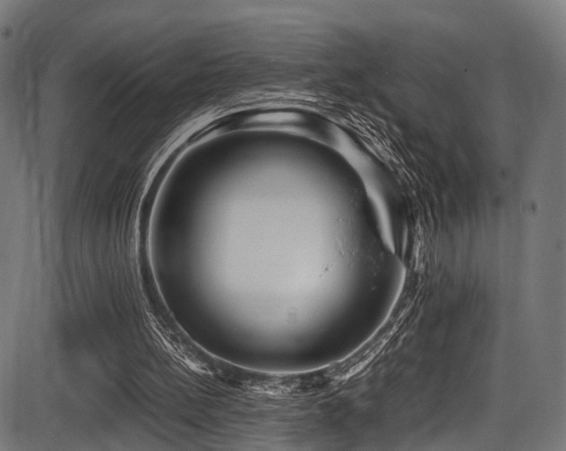 X0000087640148200705031519