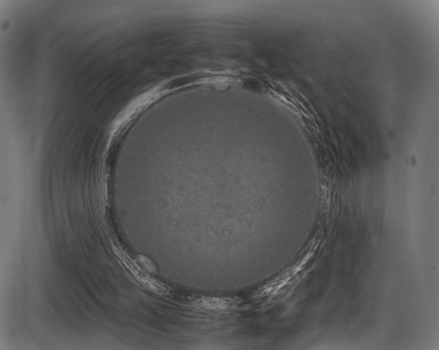 X0000087640149200705031519