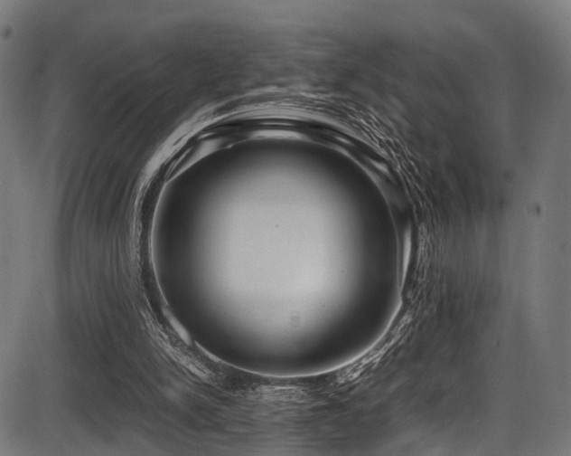 X0000087640150200705031519