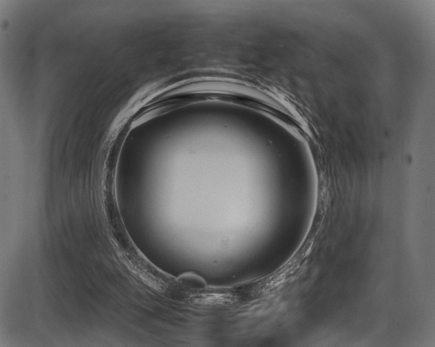 X0000087640151200705031519